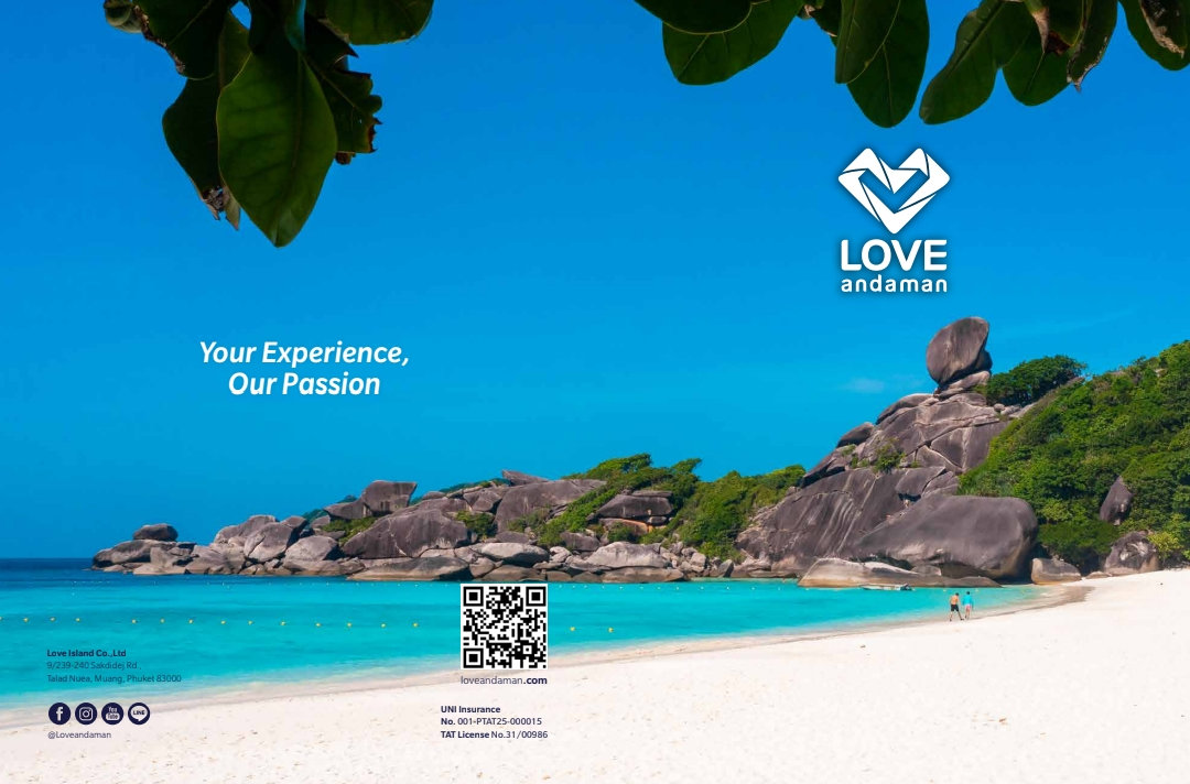Brand showcase 3